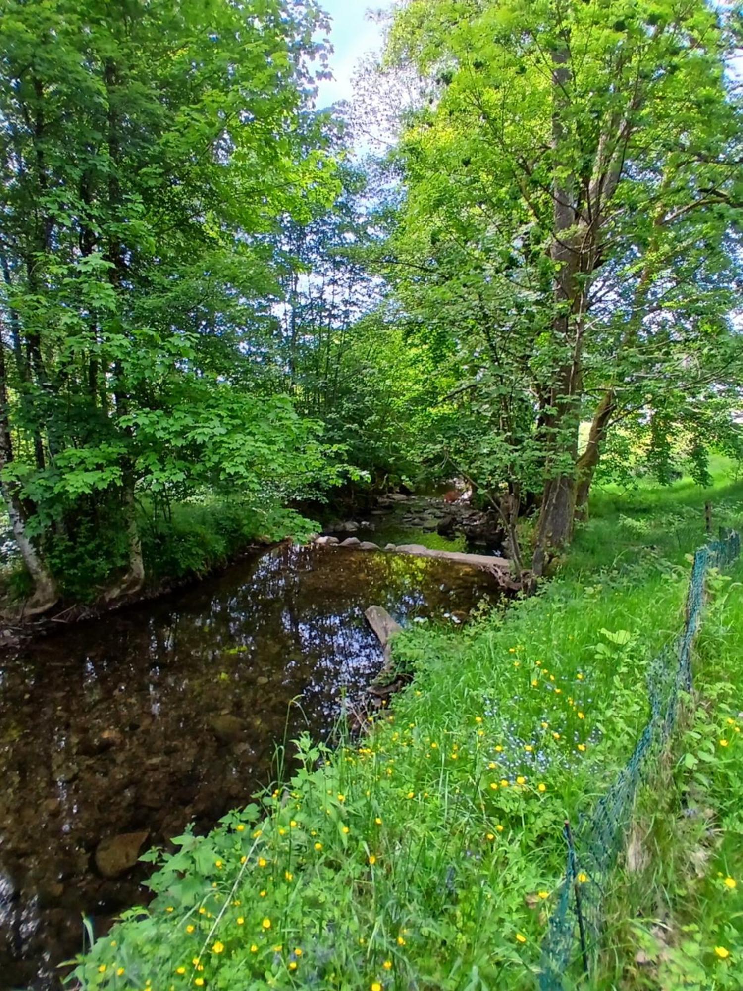 Gite De L'Ours Saint-Maurice-sur-Moselle Exterior foto